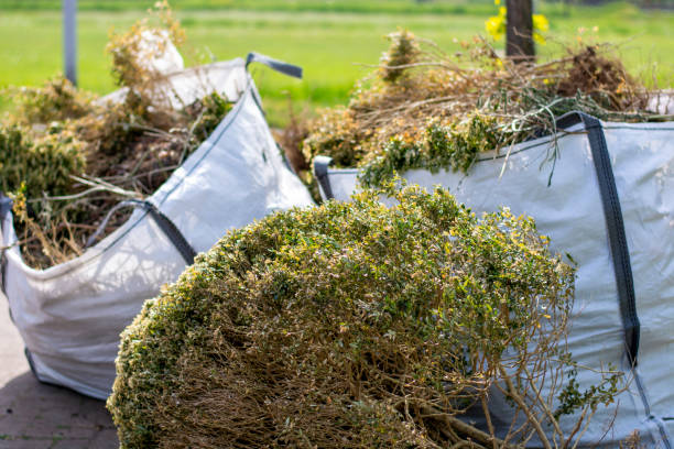 Best Hoarding Cleanup  in Hahira, GA